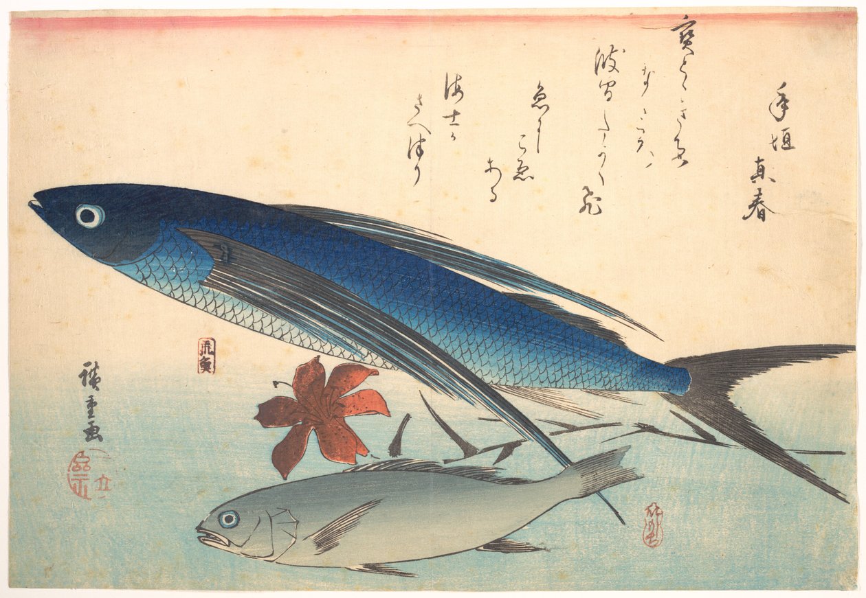 Peces tobiuo e ishimotchi, de la serie Uozukushi (Todas las variedades de peces) de Utagawa Hiroshige