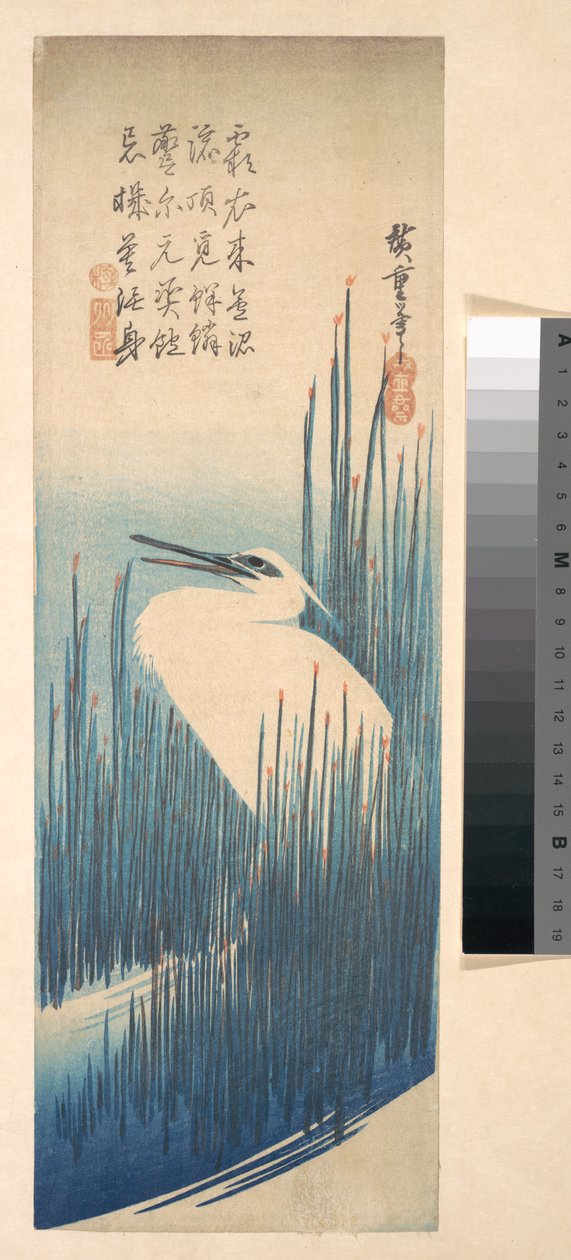 Weißer Reiher zwischen Schilf de Utagawa Hiroshige