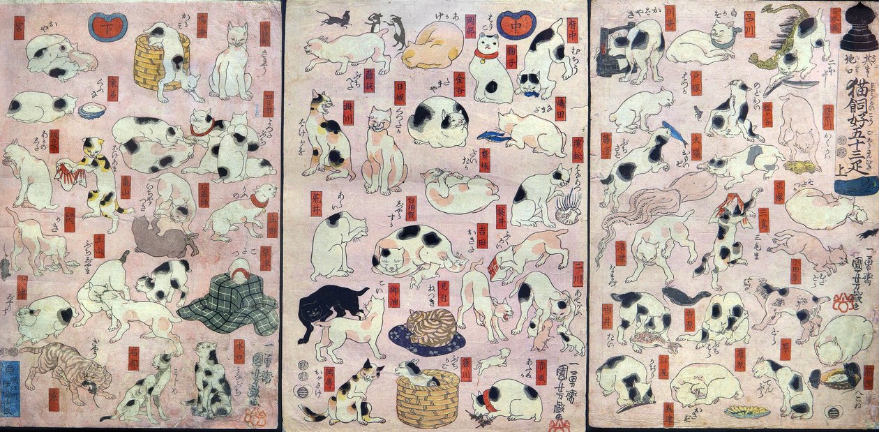 Cincuenta y tres gatos como juegos de palabras para los nombres de las estaciones en la carretera de Tōkaidō (Sono mama jiguchi myōkaidō gojūsan biki), c.1848 de Utagawa Kuniyoshi