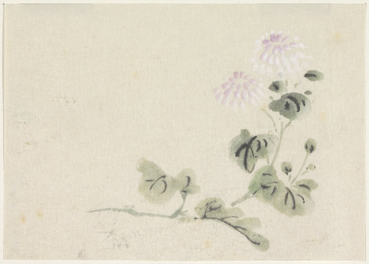Crisantemos morados y blancos de Utagawa Kuniyoshi
