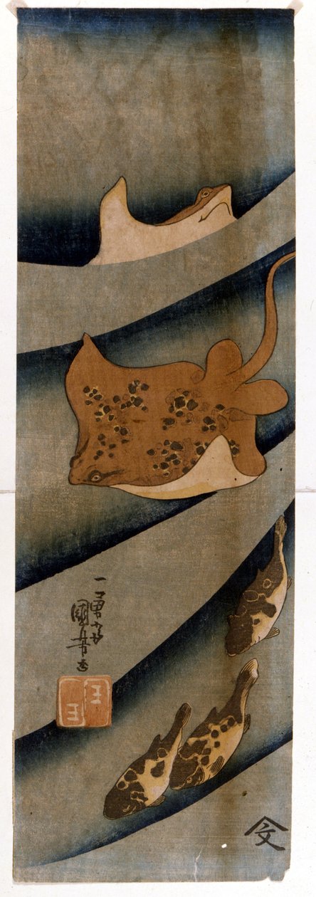 Grabados de Utagawa KUNIYOSHI (1797-1861) que representan el pez. de Utagawa Kuniyoshi