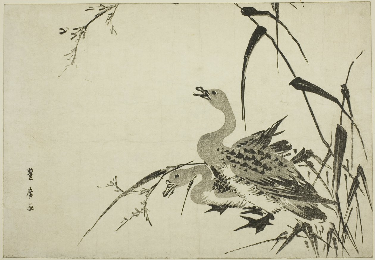 Gansos salvajes y juncos de Utagawa Toyohiro