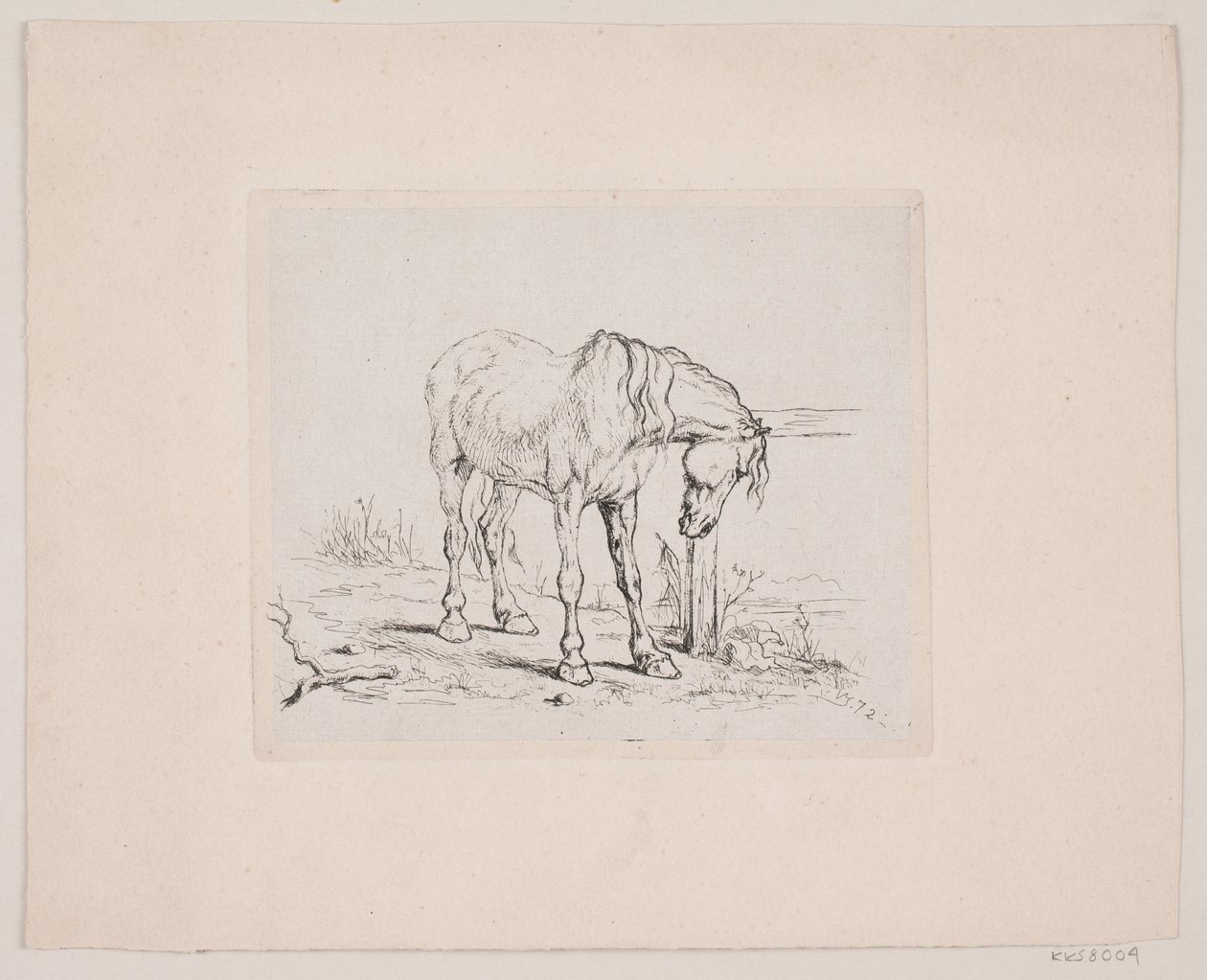 Un caballo viejo de Valdemar Irminger