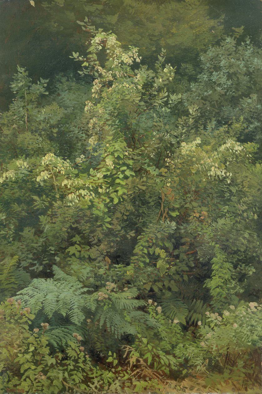 Lúpulos y helechos en el bosque, 1870 de Valentin Ruths