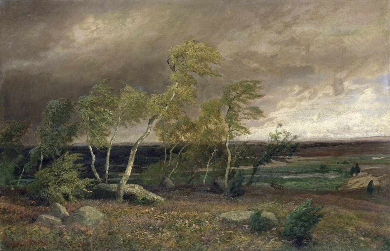 El brezal en una tormenta, 1896 de Valentin Ruths