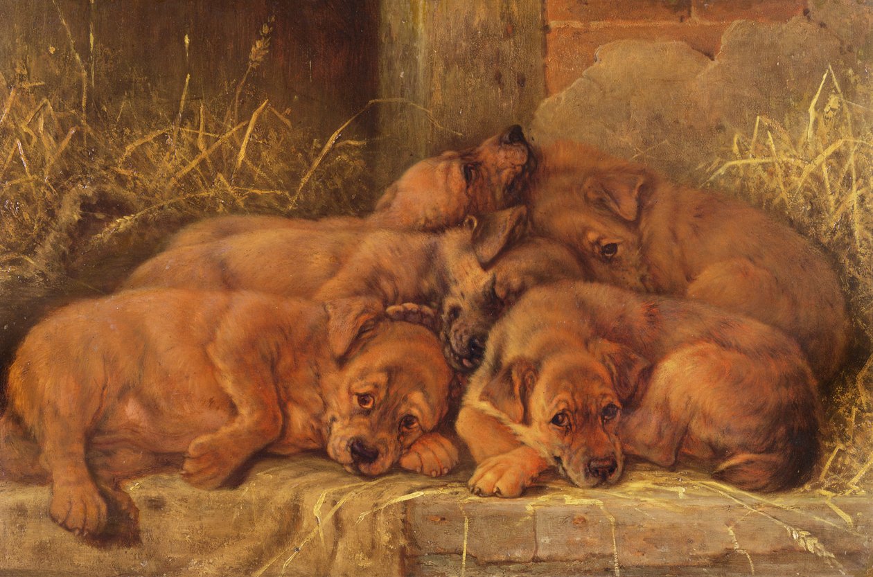 Amor de cachorro de Valentine Thomas Garland
