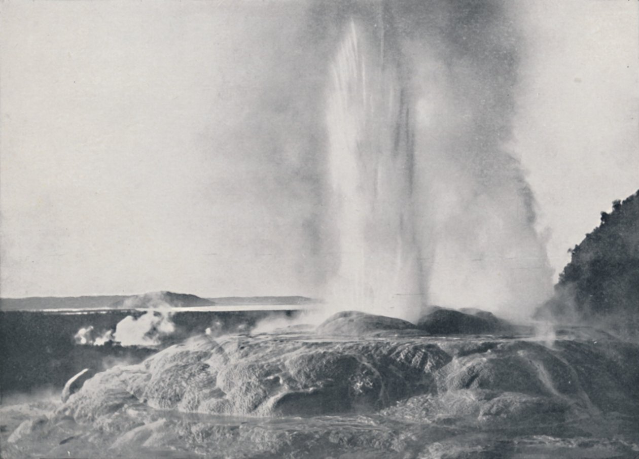 Géiser, Nueva Zelanda, 1924 de Valentine and Sons Ltd