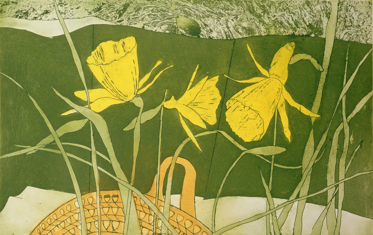 Narcisos de Valerie Daniel