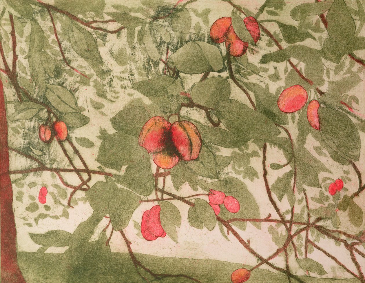 Ciruelas de Valerie Daniel