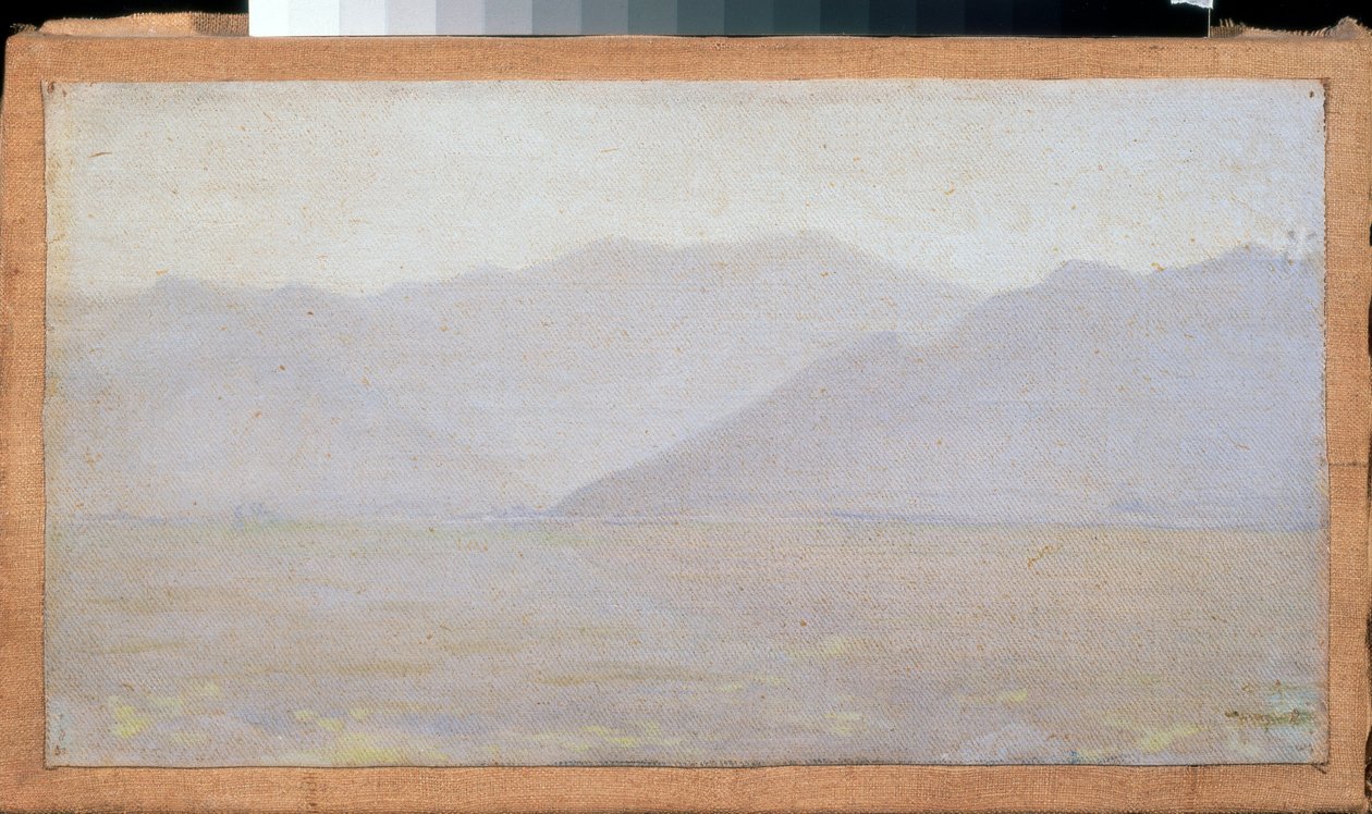 Mañana en Cachemira (India) - Pintura de Vasili Vasilyevich Vereshchagin (Vassili Vereshchagin) (1842-1904), óleo sobre lienzo de Vasili Vasilievich Vereshchagin