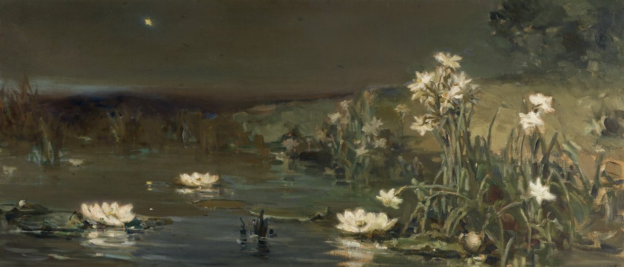 Estrella en la Noche de Vasilii Kotarbinsky