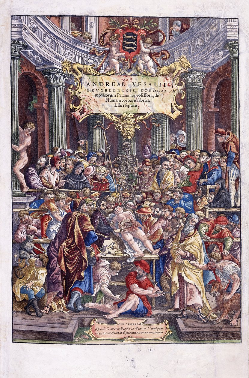 Anatomista y médico flamenco, Andreas Vesalius, dando una lección en la escuela de medicina en Bruselas, 1543 de Venetian School