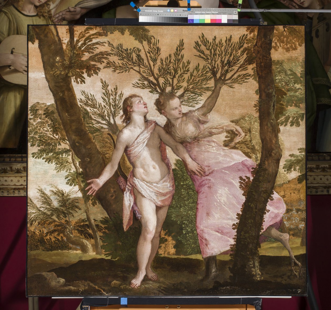 Apolo y Dafne, c.1560-65 de Paolo Veronese