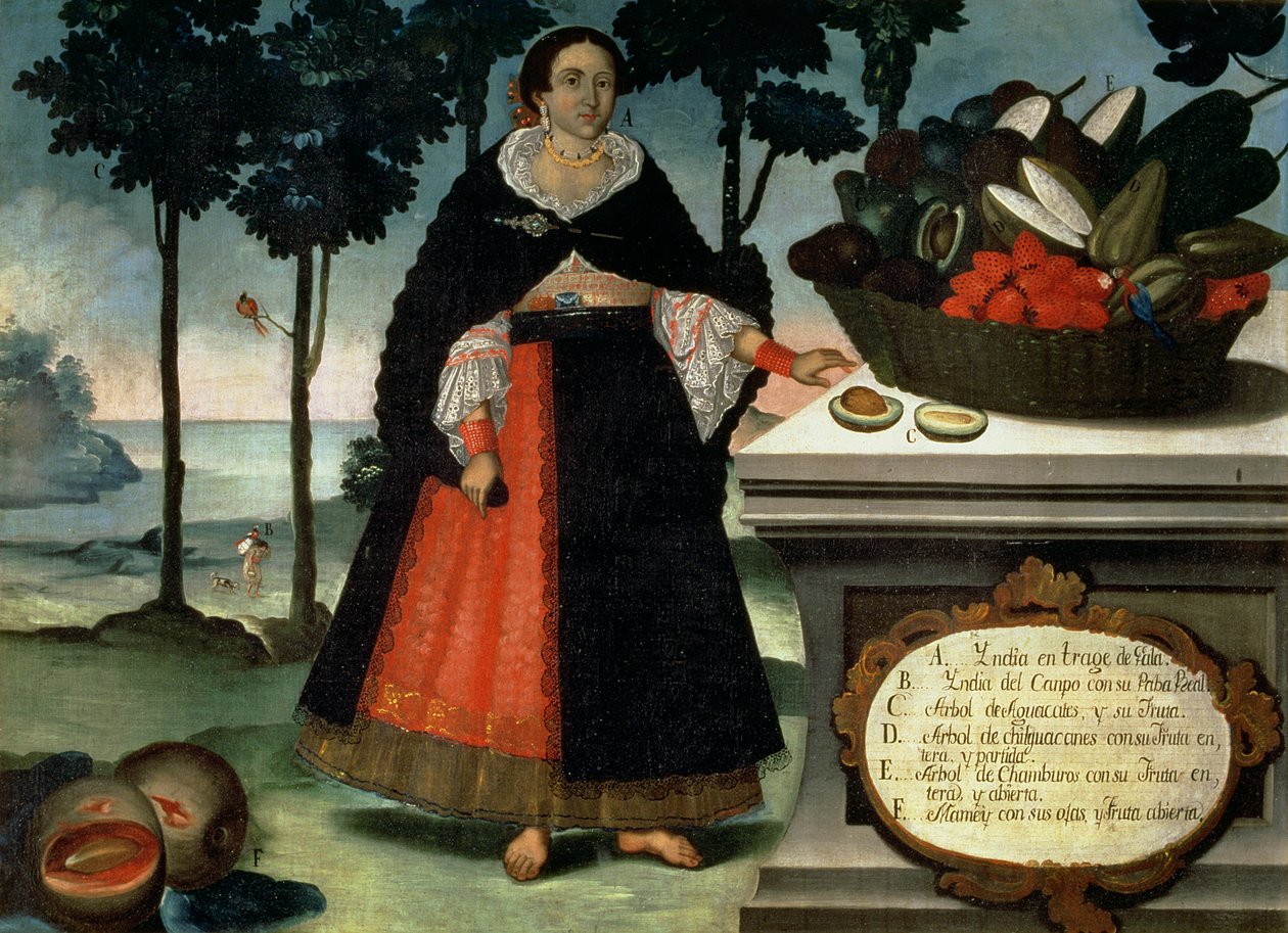 Mujer india vestida de gala (óleo sobre lienzo) de Vicente Alban