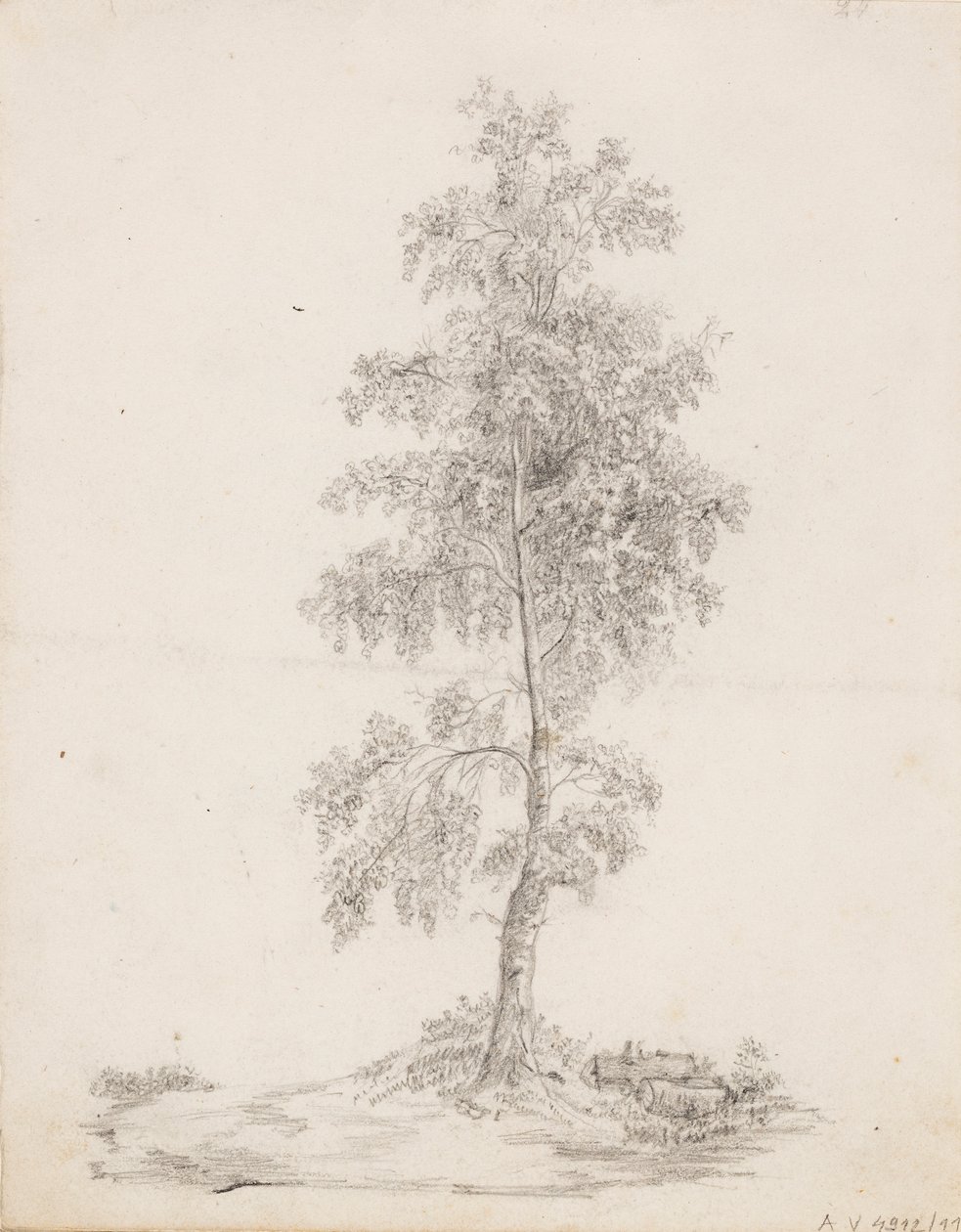 Abedul de Victoria Åberg