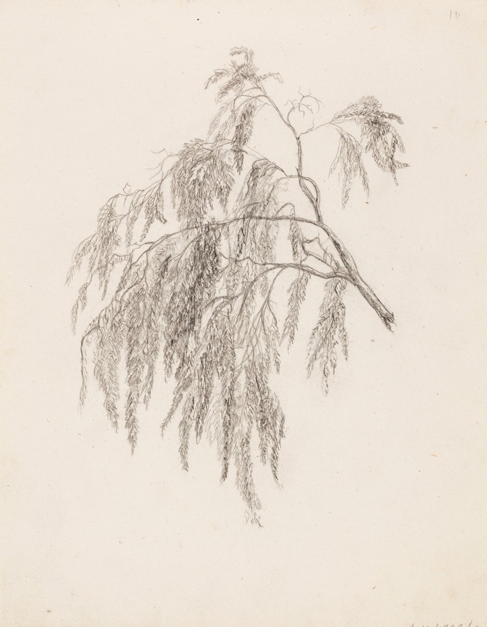 Rama de Victoria Åberg