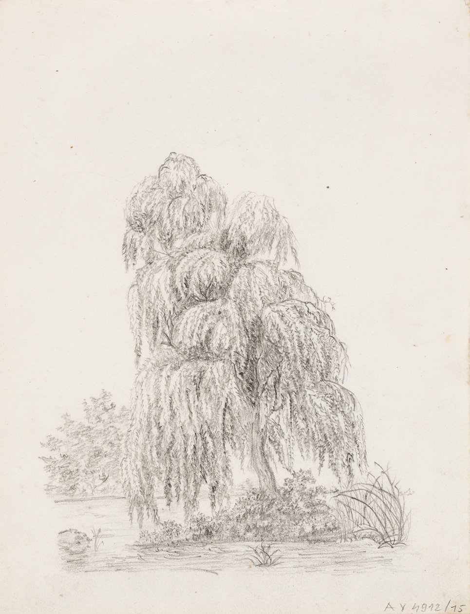 Árbol de hoja ancha de Victoria Åberg