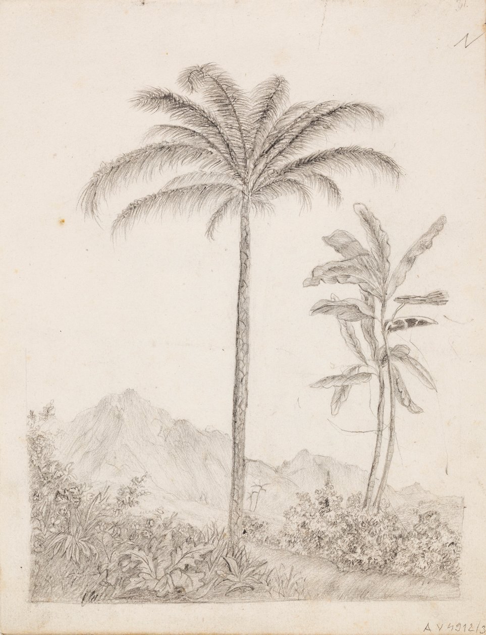 Palmeras de Victoria Åberg