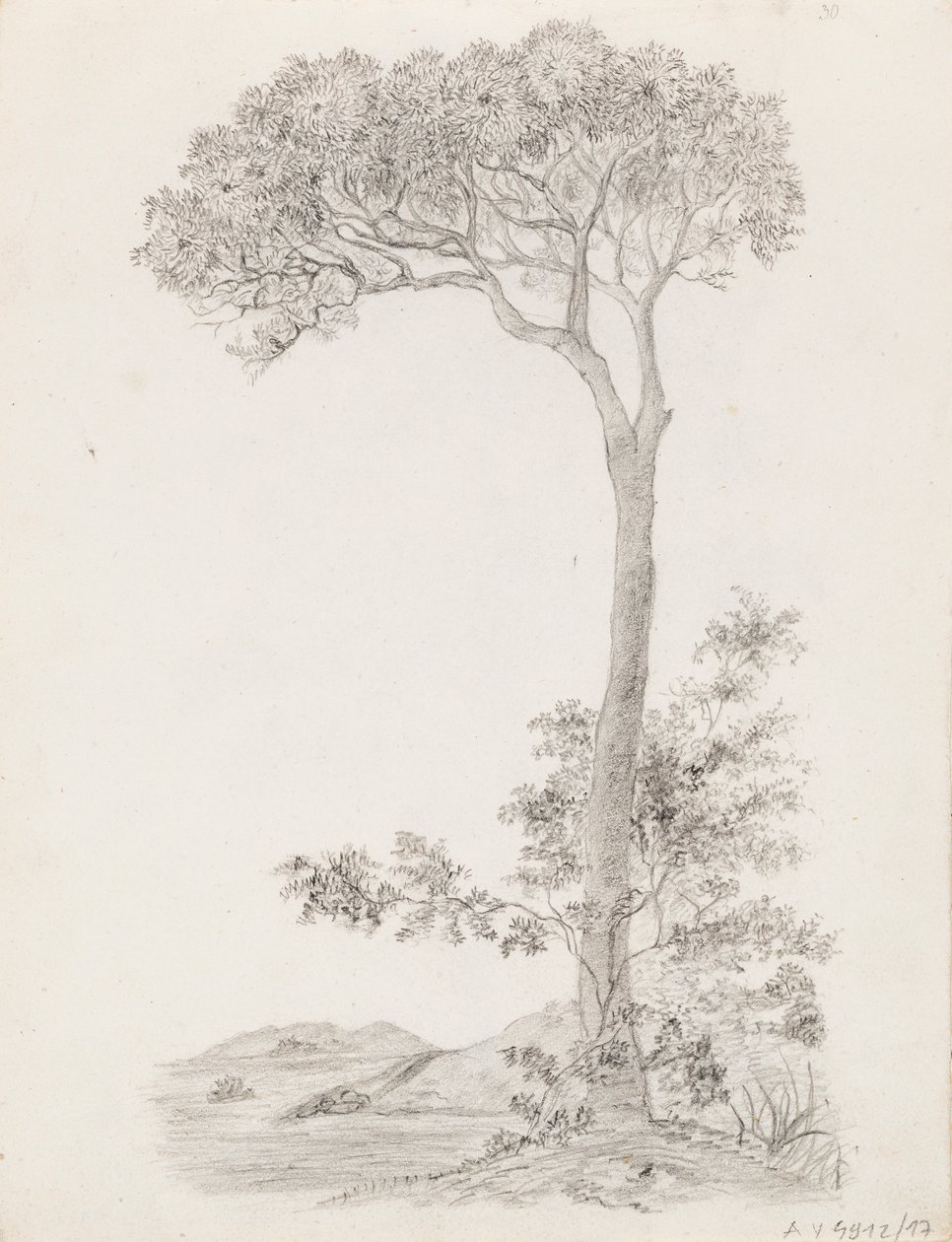 Árboles de Victoria Åberg