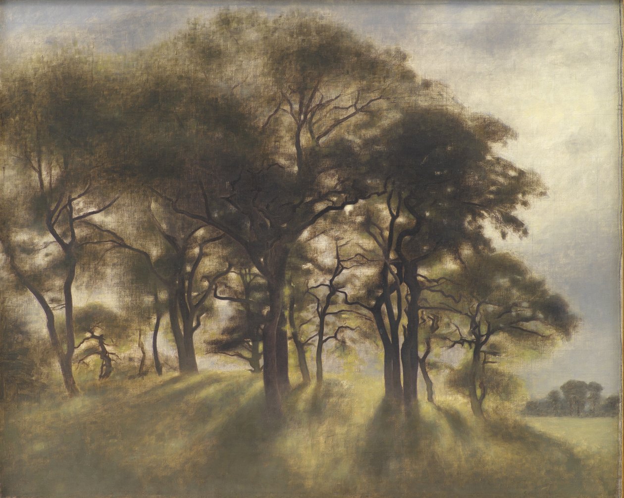 Cerca de Fortunen, Parque de Ciervos de Jægersborg, al norte de Copenhague de Vilhelm Hammershøi
