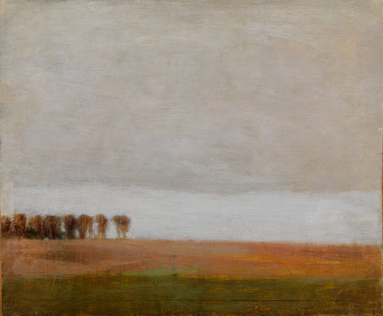 Vista de Jægersborg Allé. Gentofte, al norte de Copenhague de Vilhelm Hammershøi