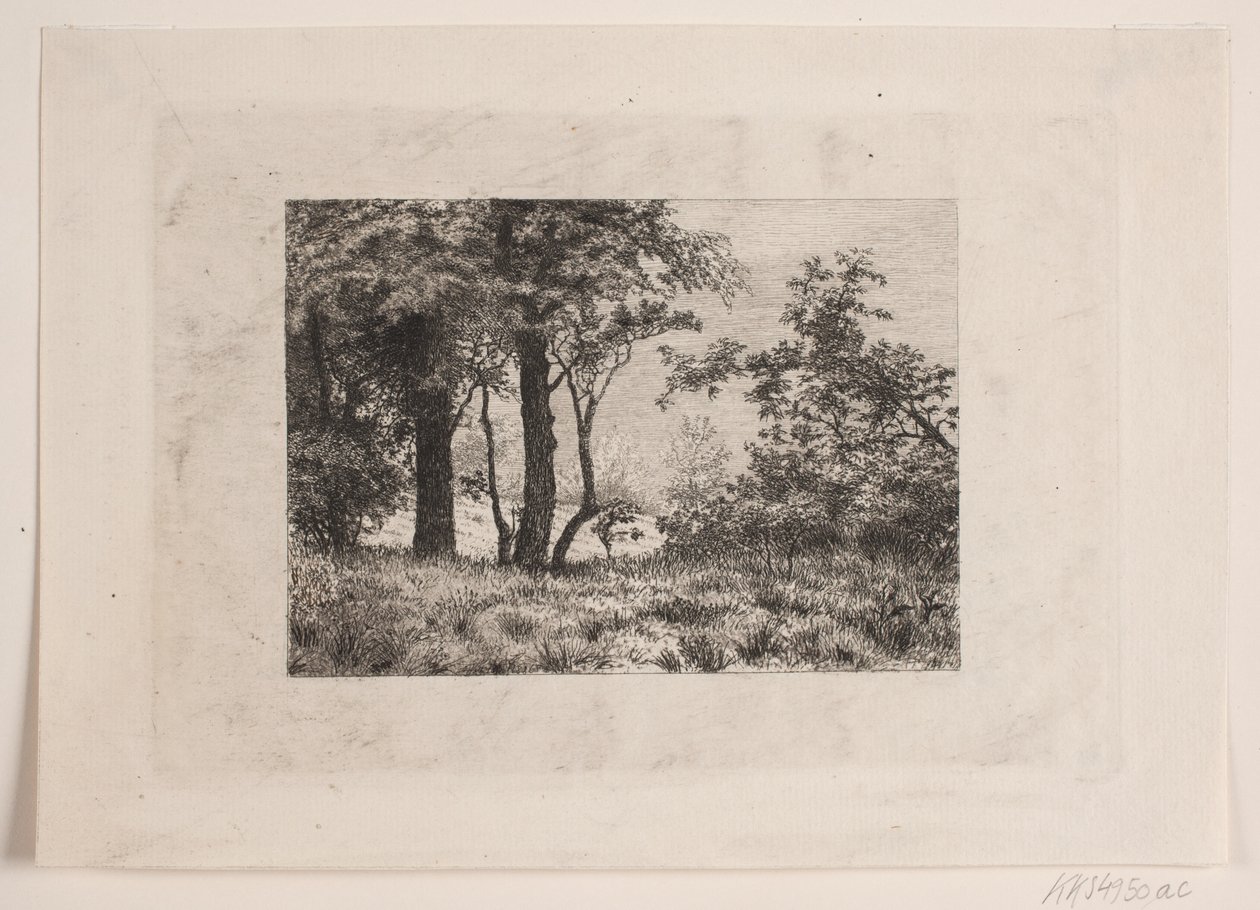 Robles en el borde de un bosque de Vilhelm Kyhn