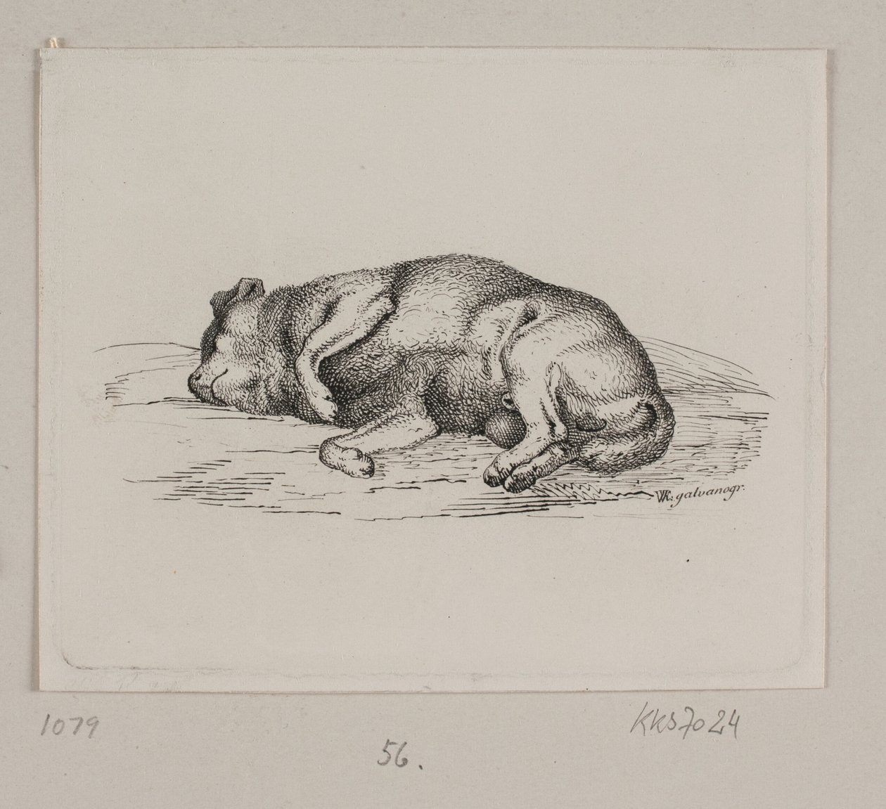 Un perro acostado de Vilhelm Kyhn