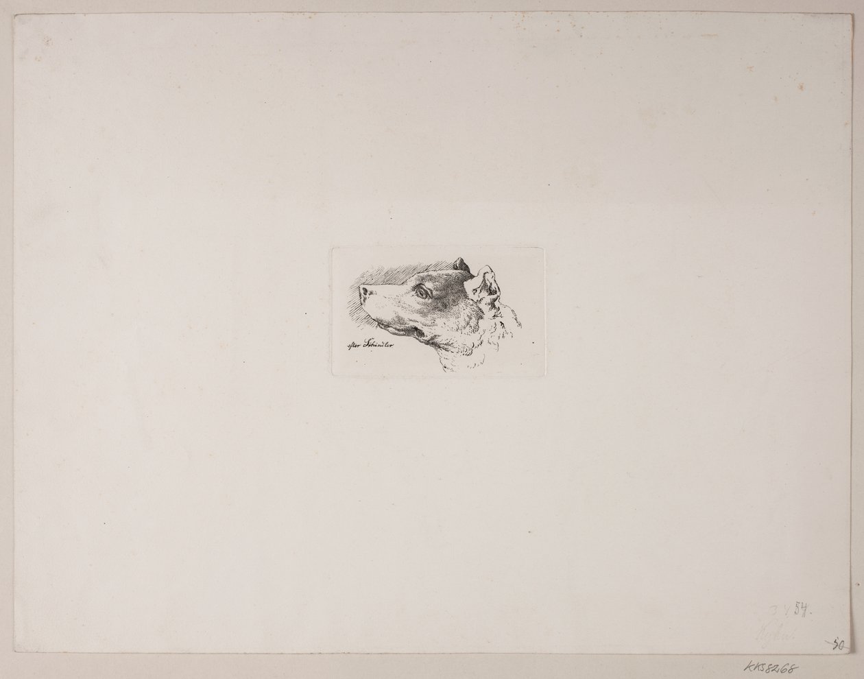 Cabeza de perro de Vilhelm Kyhn
