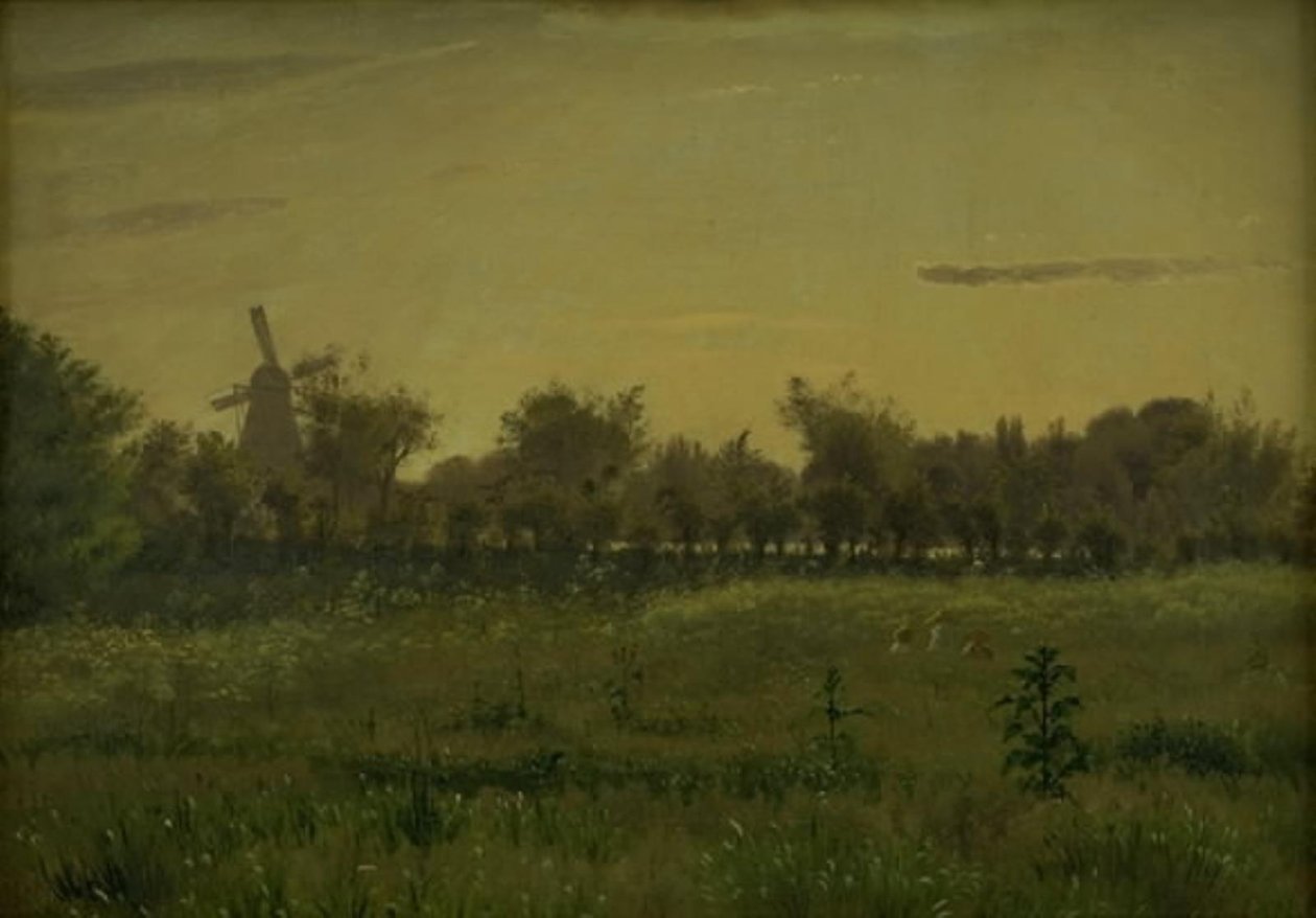El prado cerca de la casa del artista en Farimagsvej, fuera de Copenhague de Vilhelm Kyhn