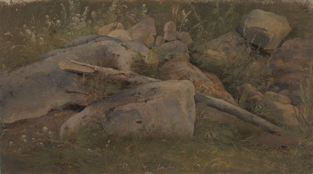 Estudio de un montón de piedras de Vilhelm Petersen