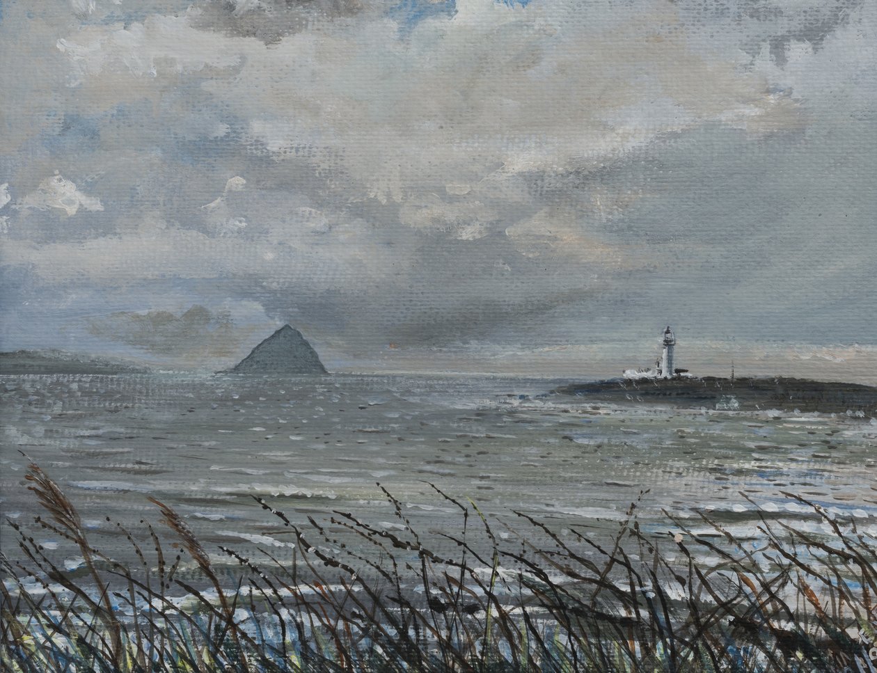 Ailsa Craig desde Arran, 2007 de Vincent Alexander Booth
