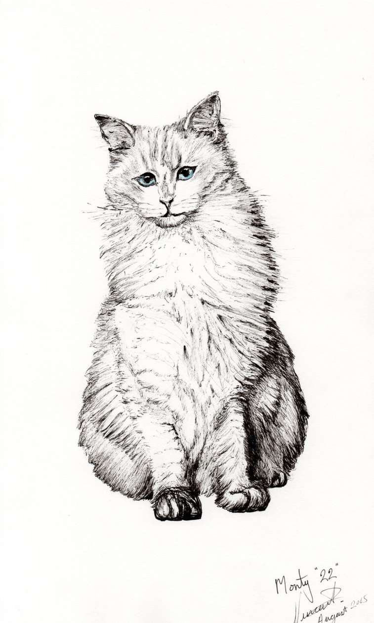 Niño, 2015 de Vincent Alexander Booth