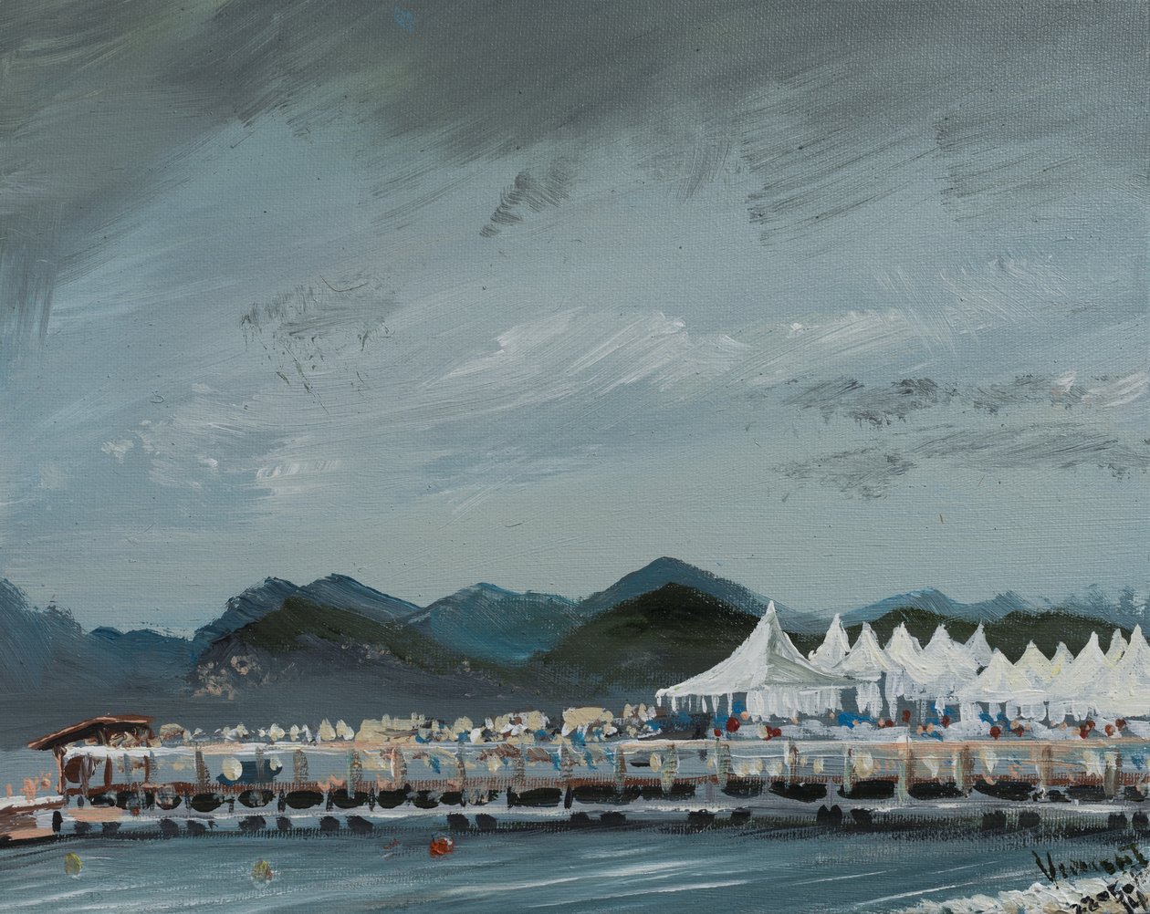 Carpas del Festival de Cine de Cannes 2014 de Vincent Alexander Booth