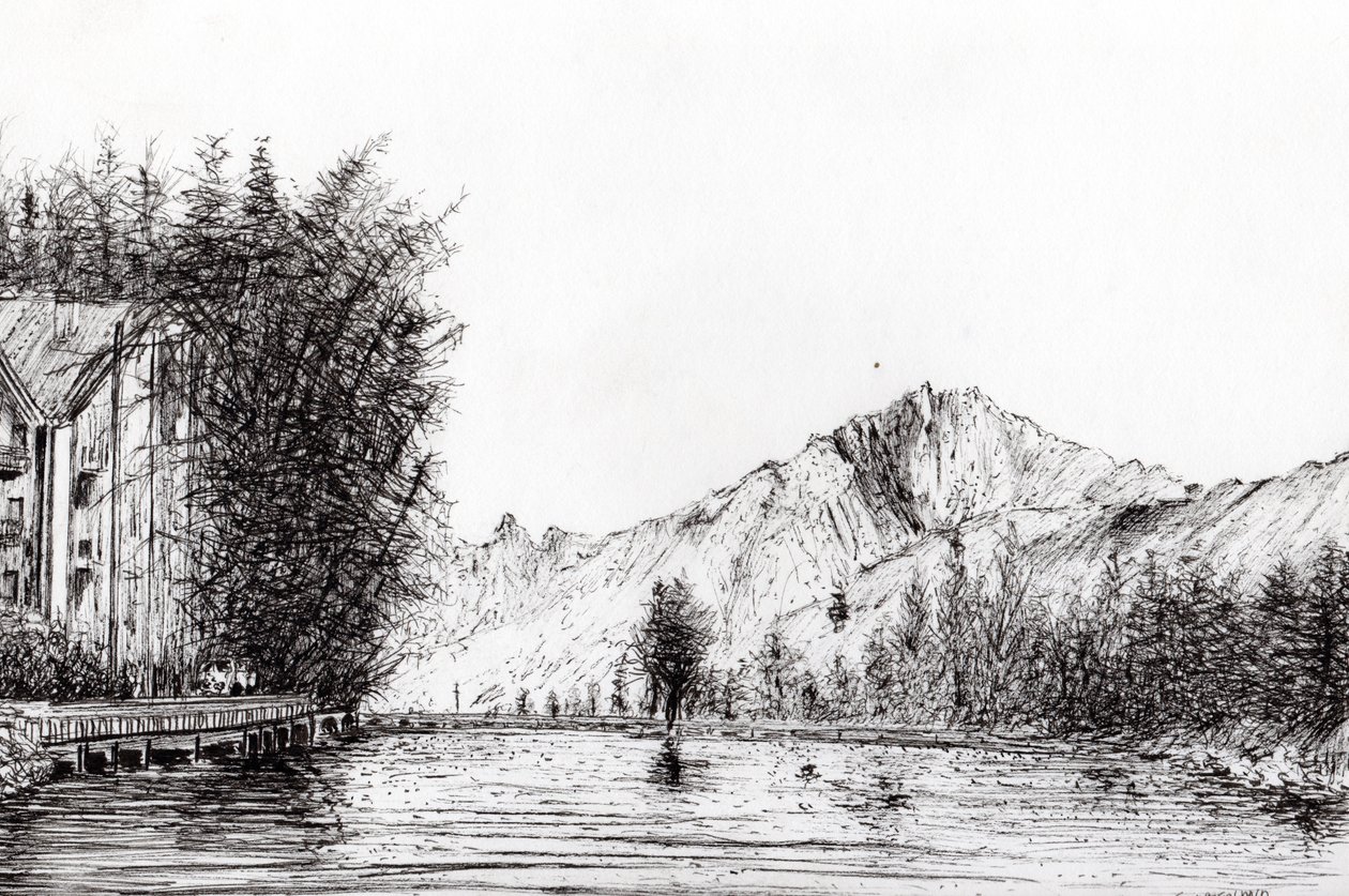 Crans Suiza, 2009 de Vincent Alexander Booth