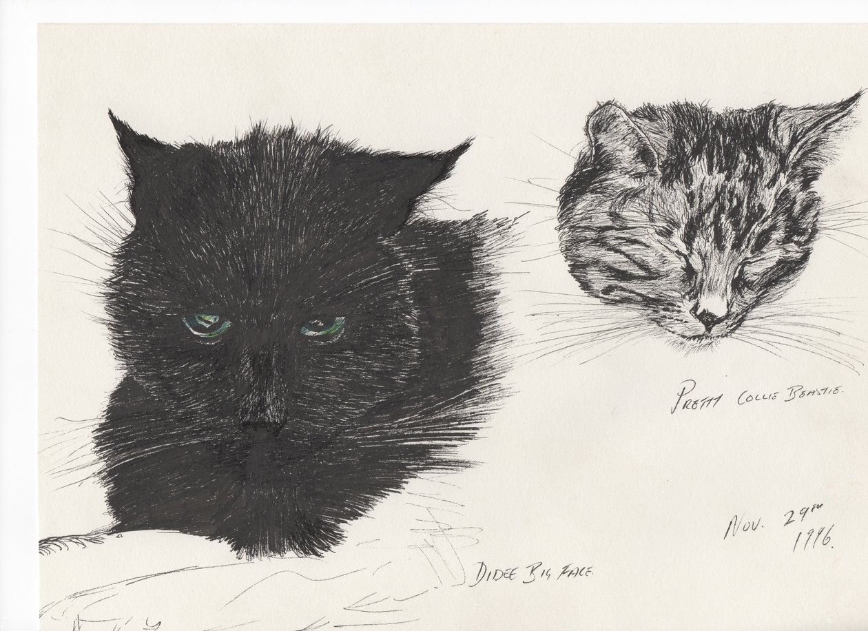 Diddygran cara y bestiacollie, 1996 de Vincent Alexander Booth