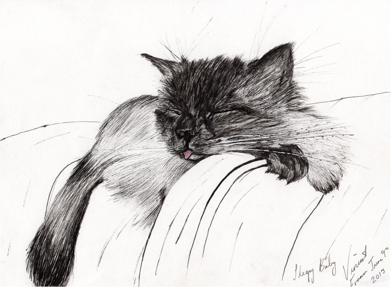 Bebé dormilón, 2013 de Vincent Alexander Booth