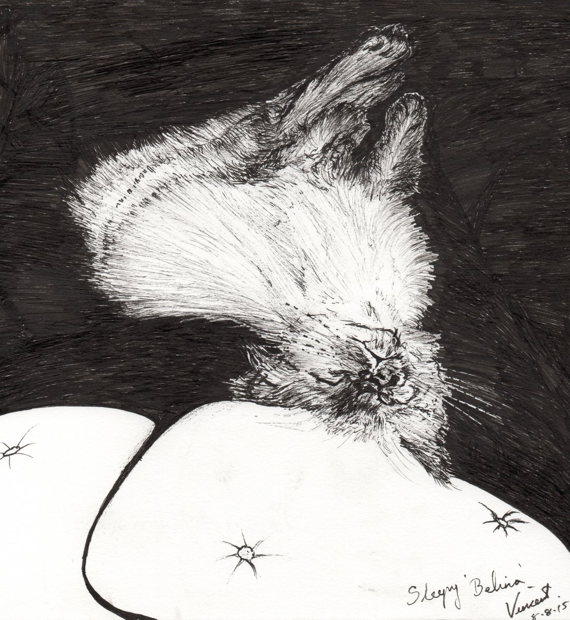 Belina Dormida, 2015 de Vincent Alexander Booth