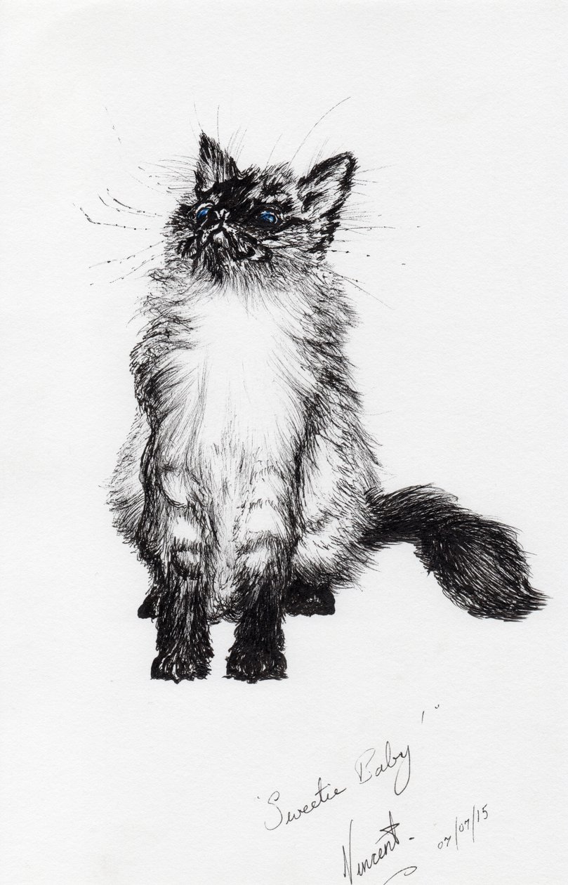 Bebé dulce, 2015 de Vincent Alexander Booth