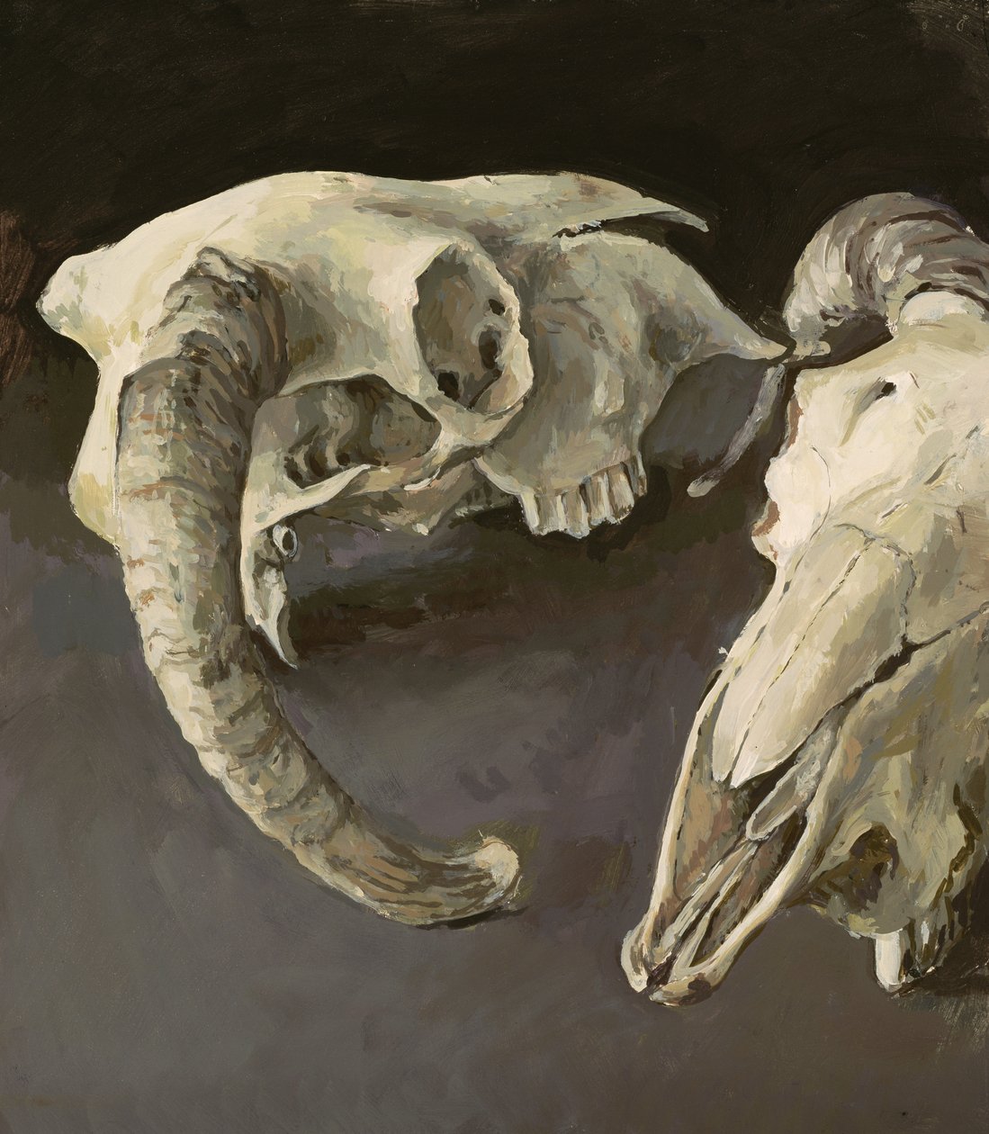 Cráneos de ovejas, 2001 de Vincent Yorke
