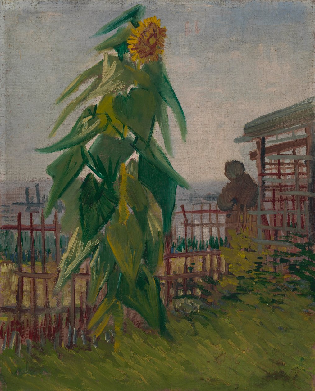 Huerto con girasol de Vincent van Gogh
