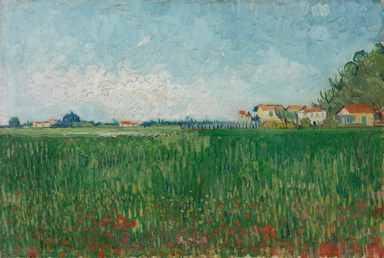 Campo con amapolas de Vincent van Gogh