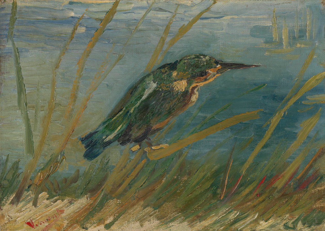 Martín pescador junto al agua de Vincent van Gogh