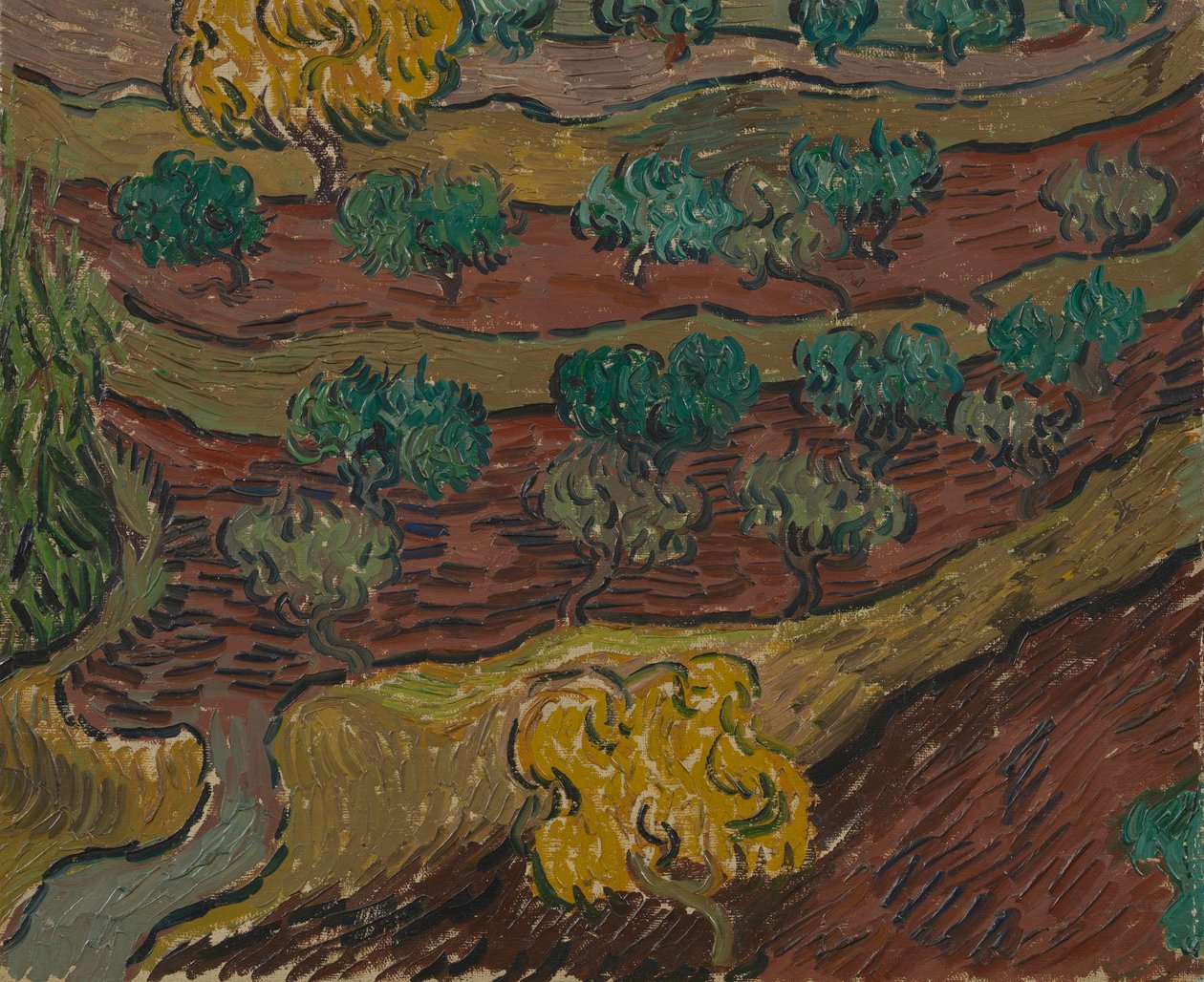 Olivos en una ladera de Vincent van Gogh