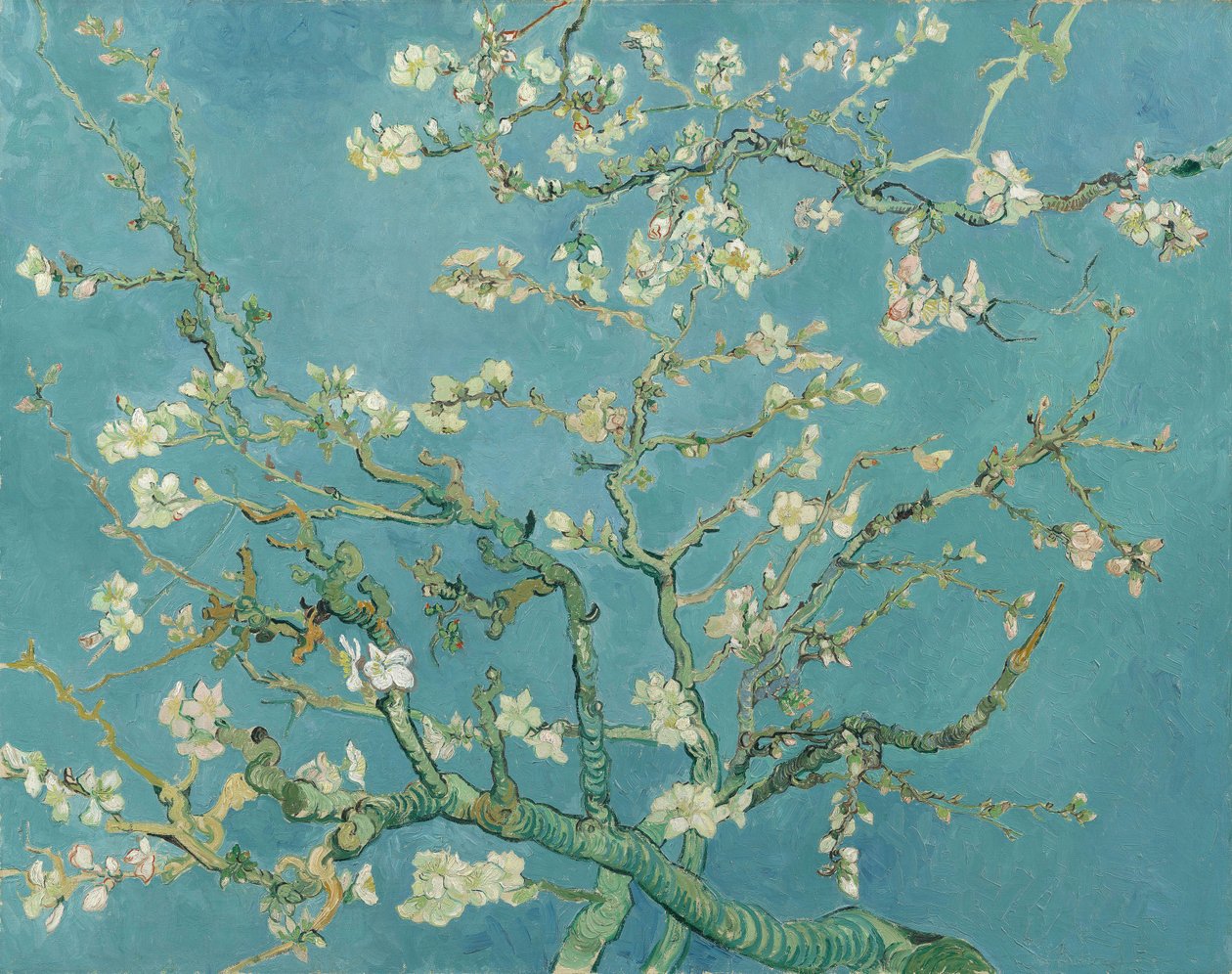 Flor de almendro de Vincent van Gogh