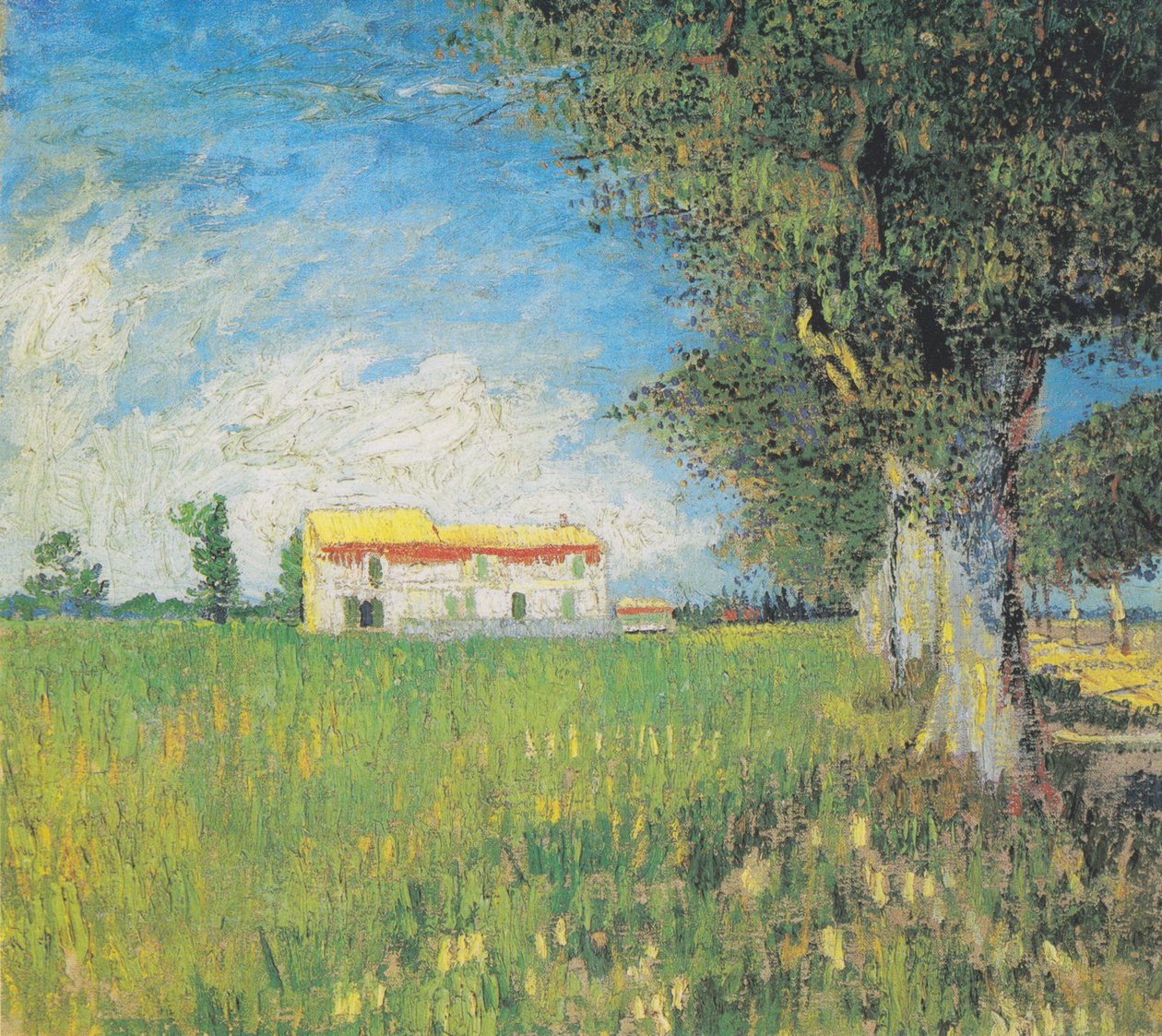 Casa de campo en un campo de trigo de Vincent van Gogh
