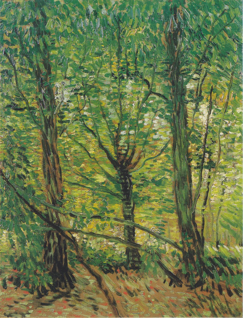Árboles y maleza de Vincent van Gogh