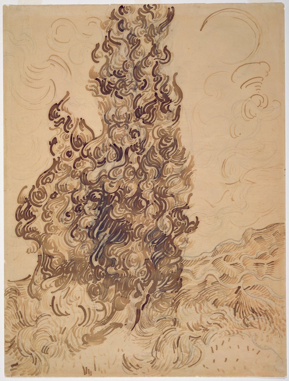 Cipreses, 1889 de Vincent van Gogh