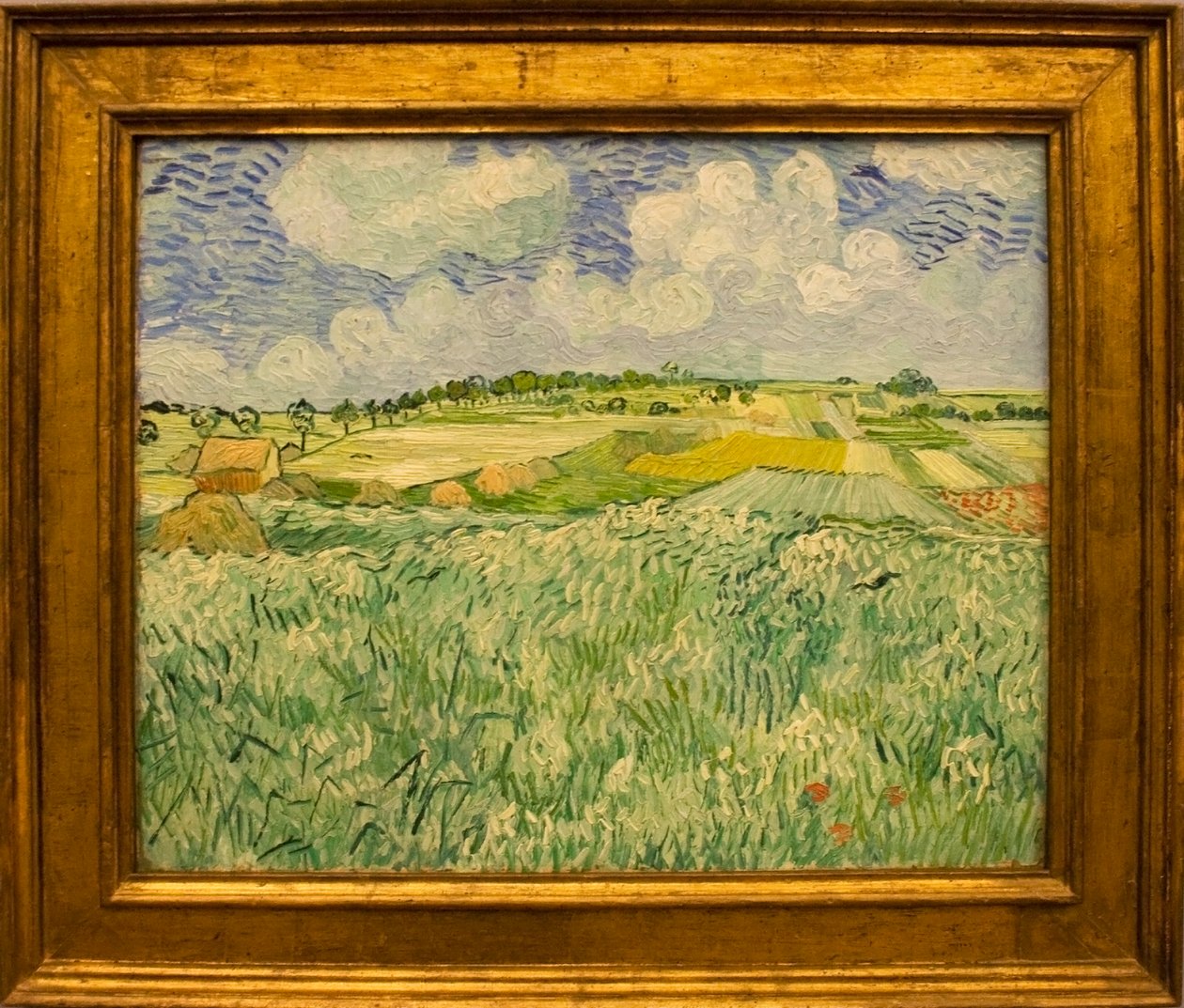 Llanura cerca de Auvers de Vincent van Gogh