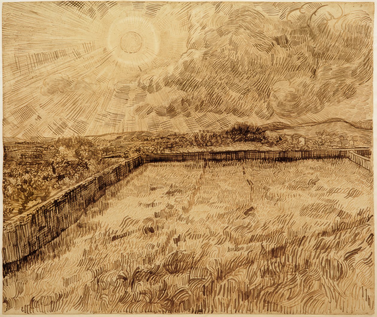 Campos y olivos de Vincent van Gogh
