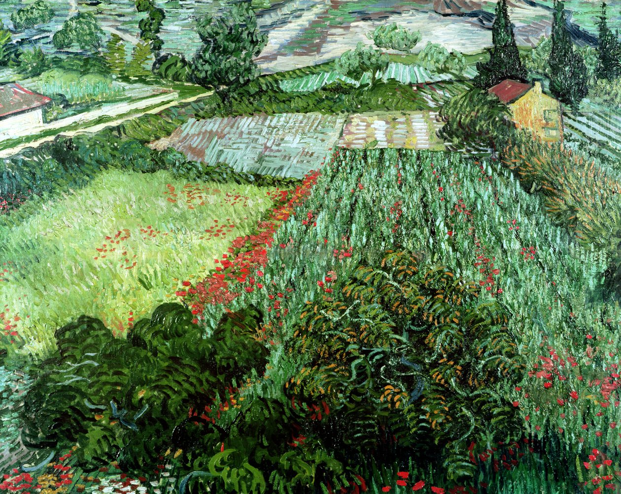 Campo con amapolas, 1889 de Vincent van Gogh